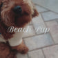 Sandy Paws Beach Pup Sweatshirt